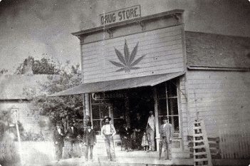 Alaska cannabis history