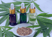 Alaska Active Medical Marijuana Patients in 2025.png